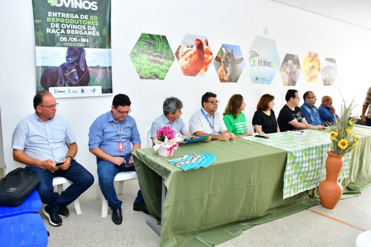 Prefeitura de Floriano entrega vinte ovelhas  a criadores rurais do município