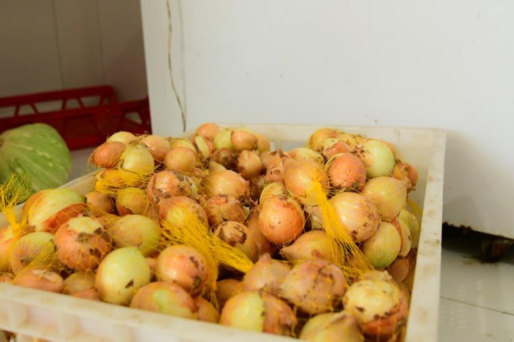 Educação de Floriano distribui produtos básicos da alimentação escolar