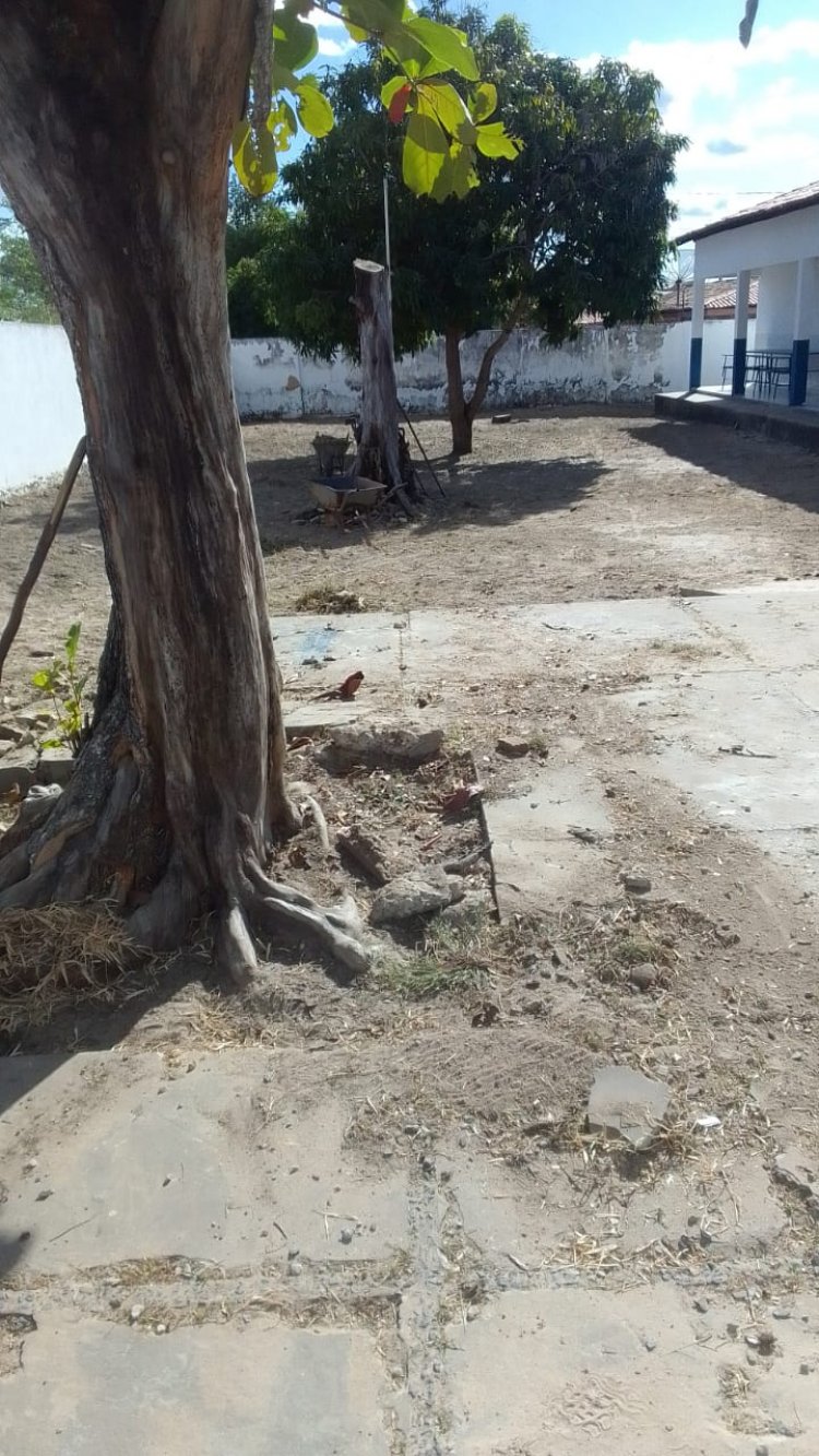 Floriano: Educação e Infraestrutura retomam roço e capina nas escolas do município