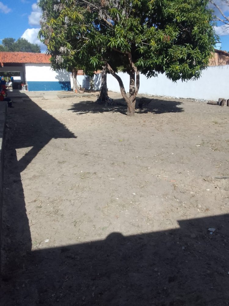 Floriano: Educação e Infraestrutura retomam roço e capina nas escolas do município