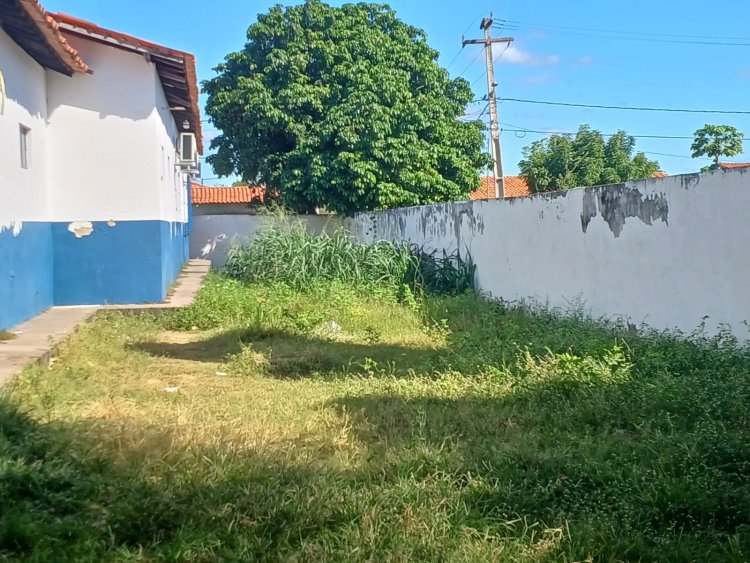 Floriano: Educação e Infraestrutura retomam roço e capina nas escolas do município
