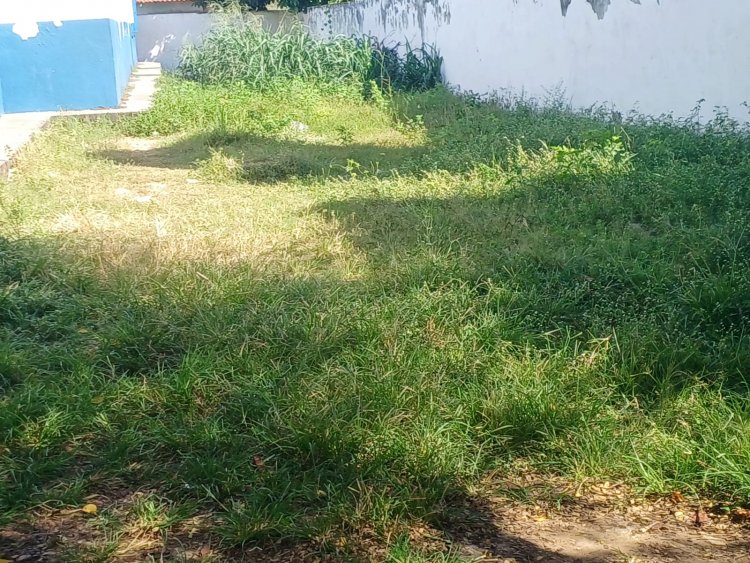 Floriano: Educação e Infraestrutura retomam roço e capina nas escolas do município