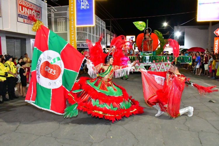 Desfile de escolas de samba e shows na beira-rio marcam o último dia do Carnaval de Floriano