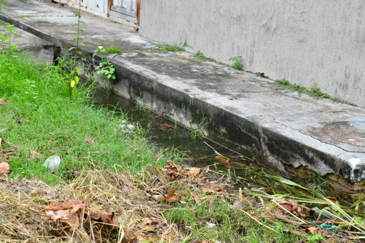 Saúde e Infraestrutura realizam ação no Bairro Via Azul no combate ao mosquito da Dengue