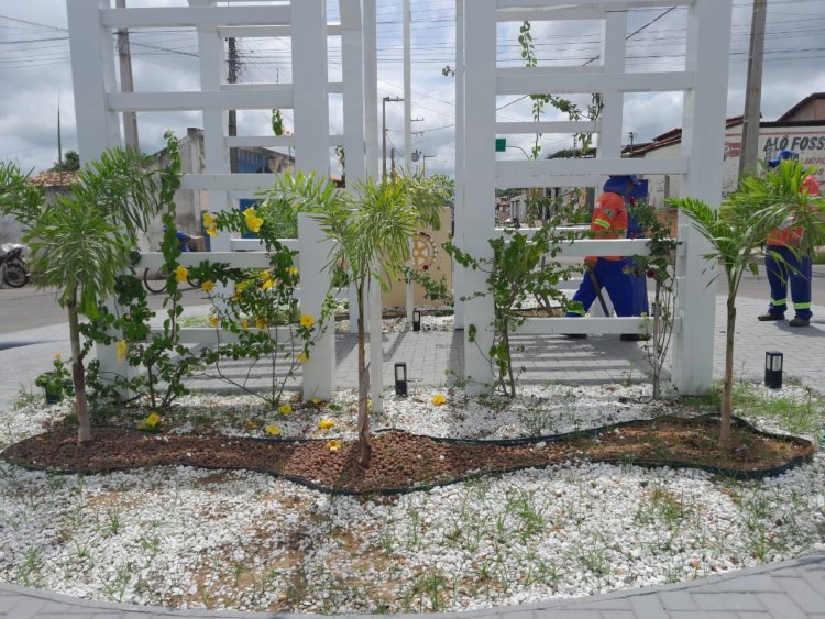SEMAN inicia reposição de mudas de plantas em praças e rotatórias da cidade