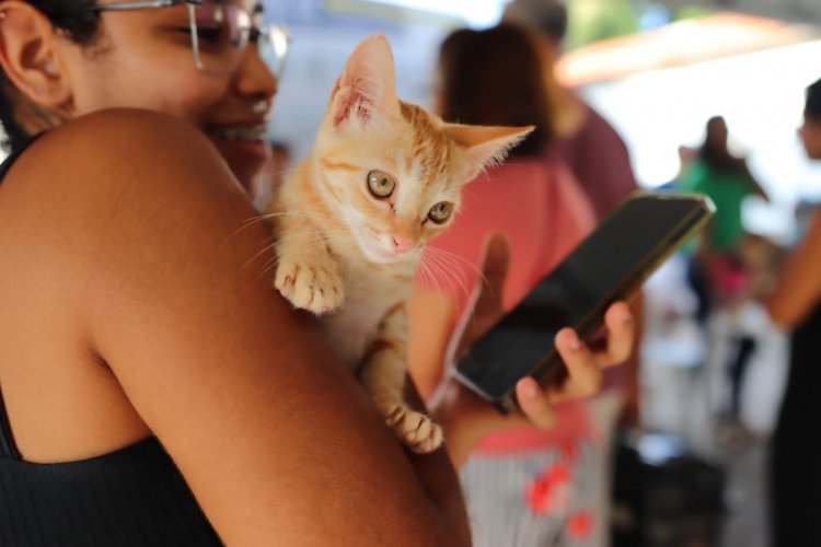 Meu Amigo Pet realiza mais de 250 atendimentos no bairro Caixa D’água