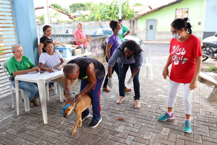 Meu Amigo Pet realiza mais de 250 atendimentos no bairro Caixa D’água