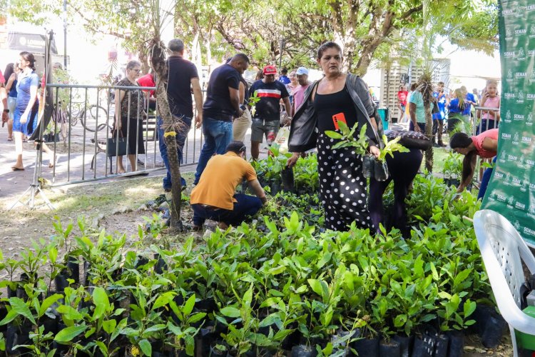 128 anos: “Floriano em Ação” oferece mais de 50 serviços gratuitos à população neste sábado (5)