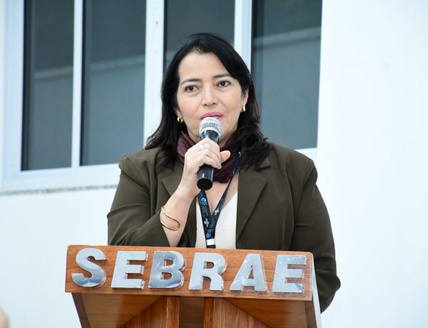 Prefeitura de Floriano e Sebrae lançam Ecossistema Local de Inovação do município