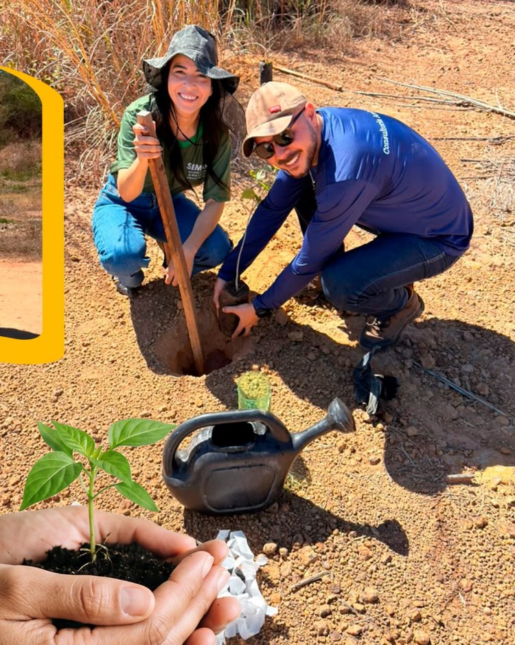 Floriano avança na recuperação ambiental com uso de tecnologia de retenção hídrica