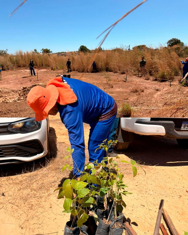 Floriano avança na recuperação ambiental com uso de tecnologia de retenção hídrica