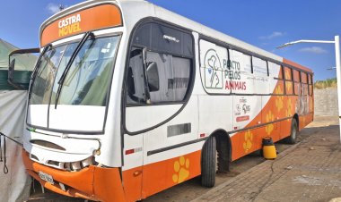 Floriano recebe Busão da Castração e oferta 500 procedimentos gratuitos para cães e gatos