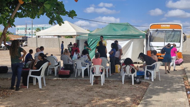Floriano recebe Busão da Castração e oferta 500 procedimentos gratuitos para cães e gatos