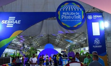 Nos 127 anos, Meio Ambiente, Ouvidoria, Assistência Social e Rural ofertam serviços na Feira do Mercado Produtor