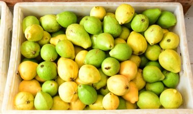 SEMED distribui produtos do Programa de Alimentação Escolar nas unidades de ensino municipais