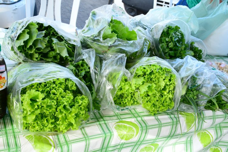 Feira da Agricultura Familiar marca comemorações dos 128 anos de Floriano