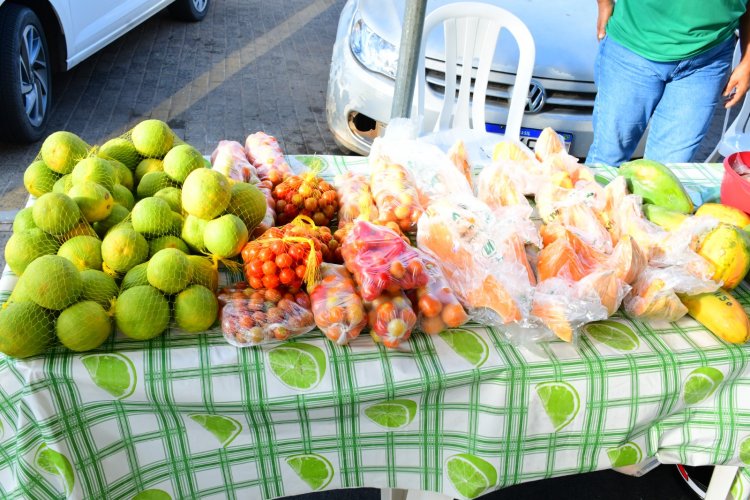 Feira da Agricultura Familiar marca comemorações dos 128 anos de Floriano