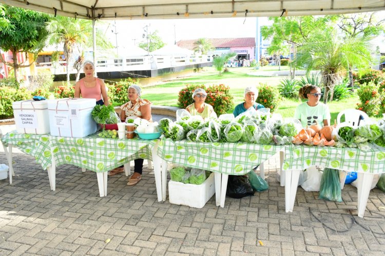 Feira da Agricultura Familiar marca comemorações dos 128 anos de Floriano