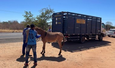 Saúde e PRF realizam ação de segurança nas rodovias de Floriano