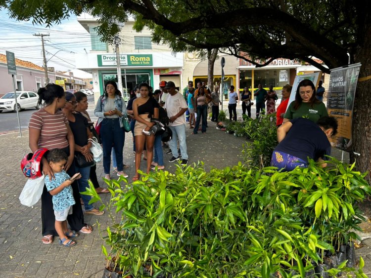 Prefeitura de Floriano celebra o Dia da Árvore com entrega de mudas à população