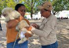 Programa “Meu Amigo Pet” leva serviços de saúde animal e ações ambientais ao bairro Manguinha