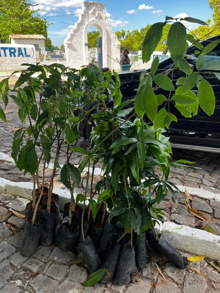 Programa “Meu Amigo Pet” leva serviços de saúde animal e ações ambientais ao bairro Manguinha