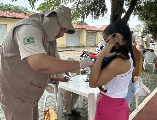 Prefeitura de Floriano realiza edição do ‘Meu Amigo Pet’ no bairro Nossa Senhora da Guia